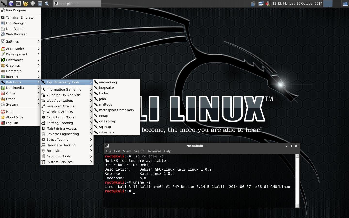 Kali linux презентация
